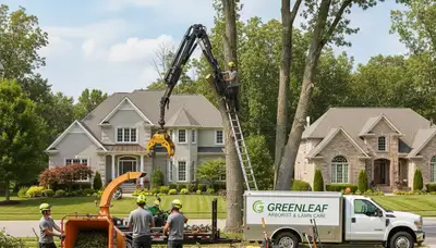 Professional lawn care and tree removal service in Albany, GA by Chop Chop Tree experts