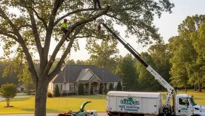 Professional tree removal service in Albany GA safely clearing residential property trees