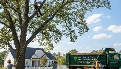 Professional tree removal service in Albany GA safely cutting and hauling large oak tree branches